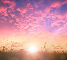 Kolor aury na wrzesień 2024