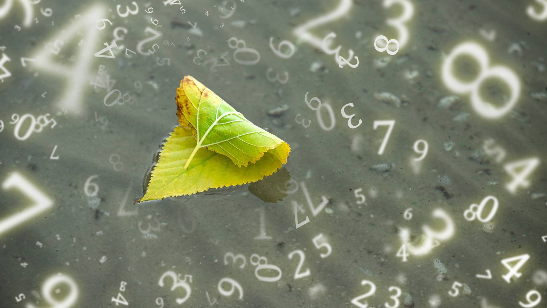 Numerologia na wrzesień 2024