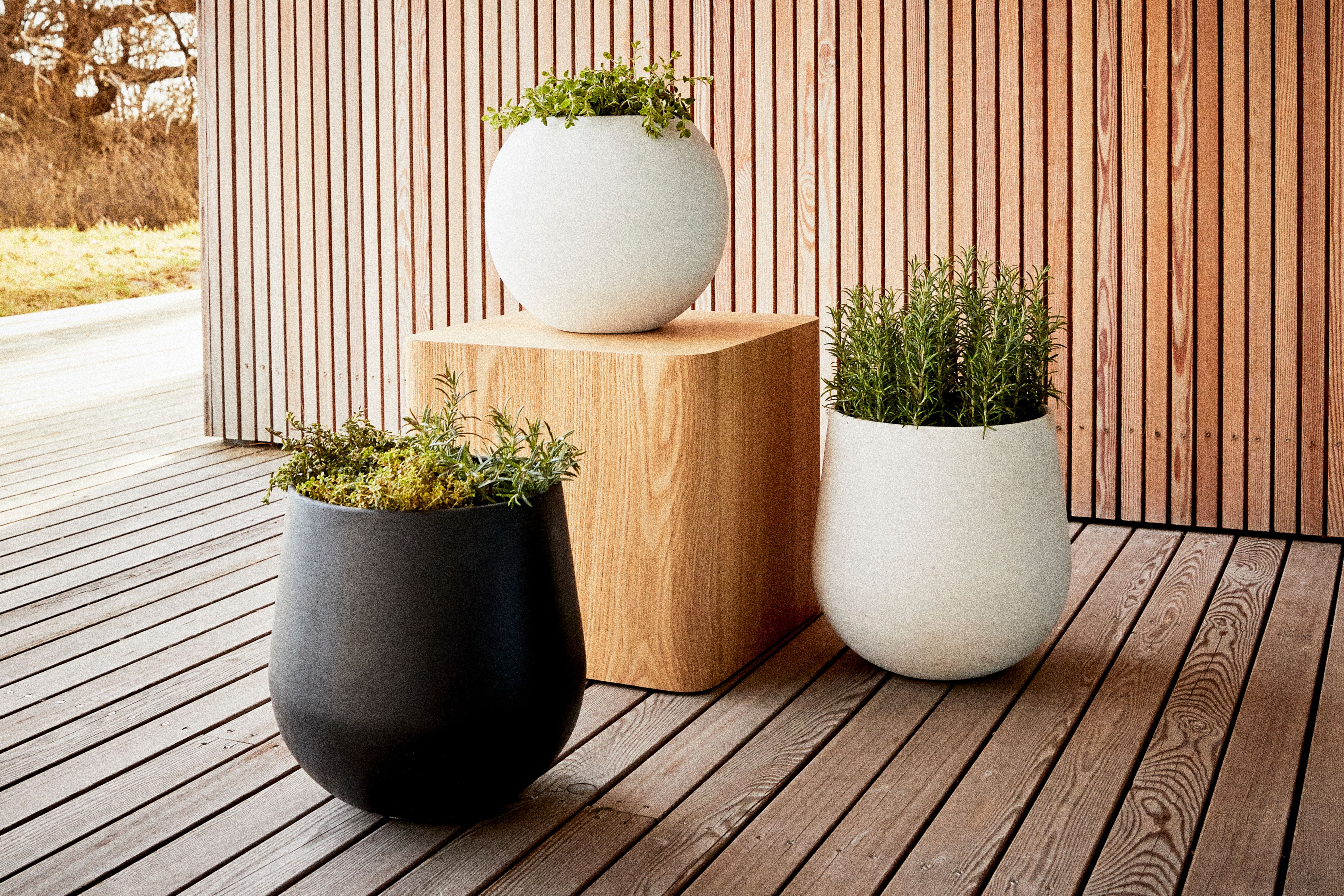 Taras, balkon, ogród na wiosnę i lato 2020