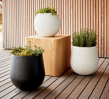 Taras, balkon, ogród na wiosnę i lato 2020