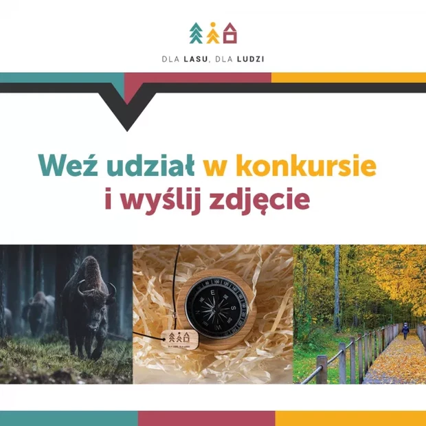 Konkurs fotograficzny