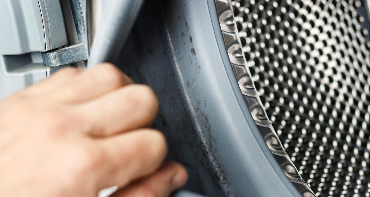 domowe sposoby na czyszczenie pralki