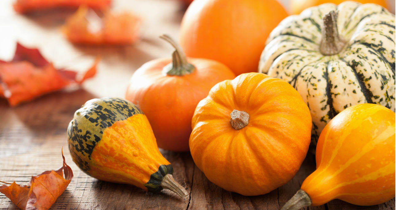 Dynia - wartości odżywcze