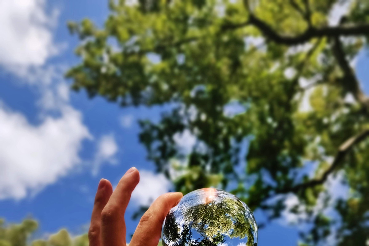 Młodzi chcą ratować środowisko! Jak można im pomóc?