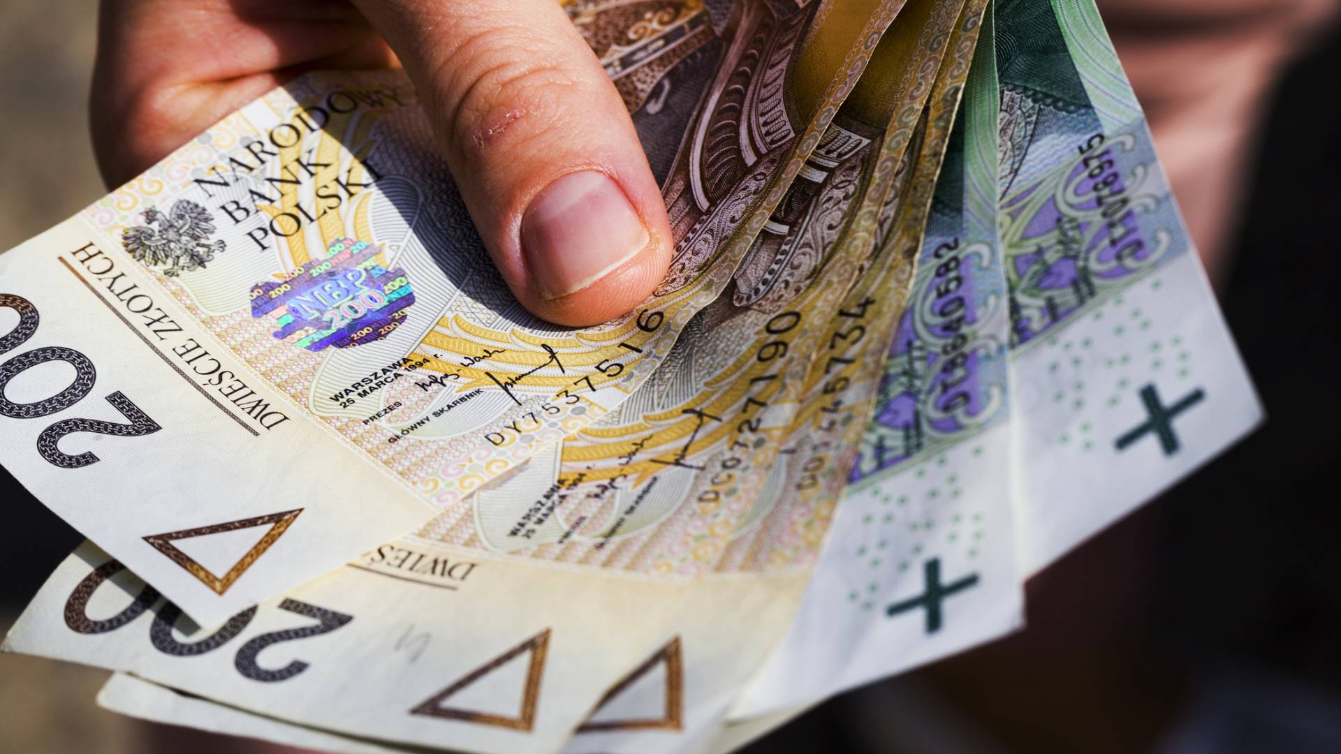 „Fiołek czarownika” przyciągnie do ciebie wielkie pieniądze. Uważaj na to 1 niebezpieczeństwo