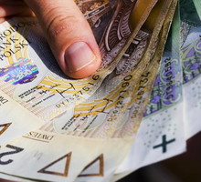 „Fiołek czarownika” przyciągnie do ciebie wielkie pieniądze. Uważaj na to 1 niebezpieczeństwo