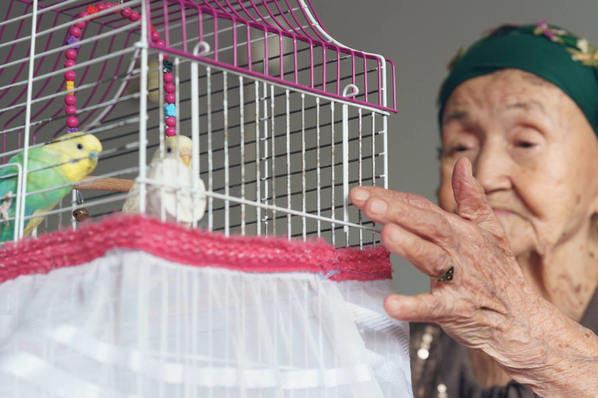 Ptak wlatujący do domu przez otwarte okno jakie niesie ze sobą przesłanie Uważaj, ten 1 omen zmieni twoje życie