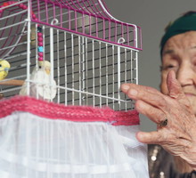 Ptak wlatujący do domu przez otwarte okno jakie niesie ze sobą przesłanie Uważaj, ten 1 omen zmieni twoje życie