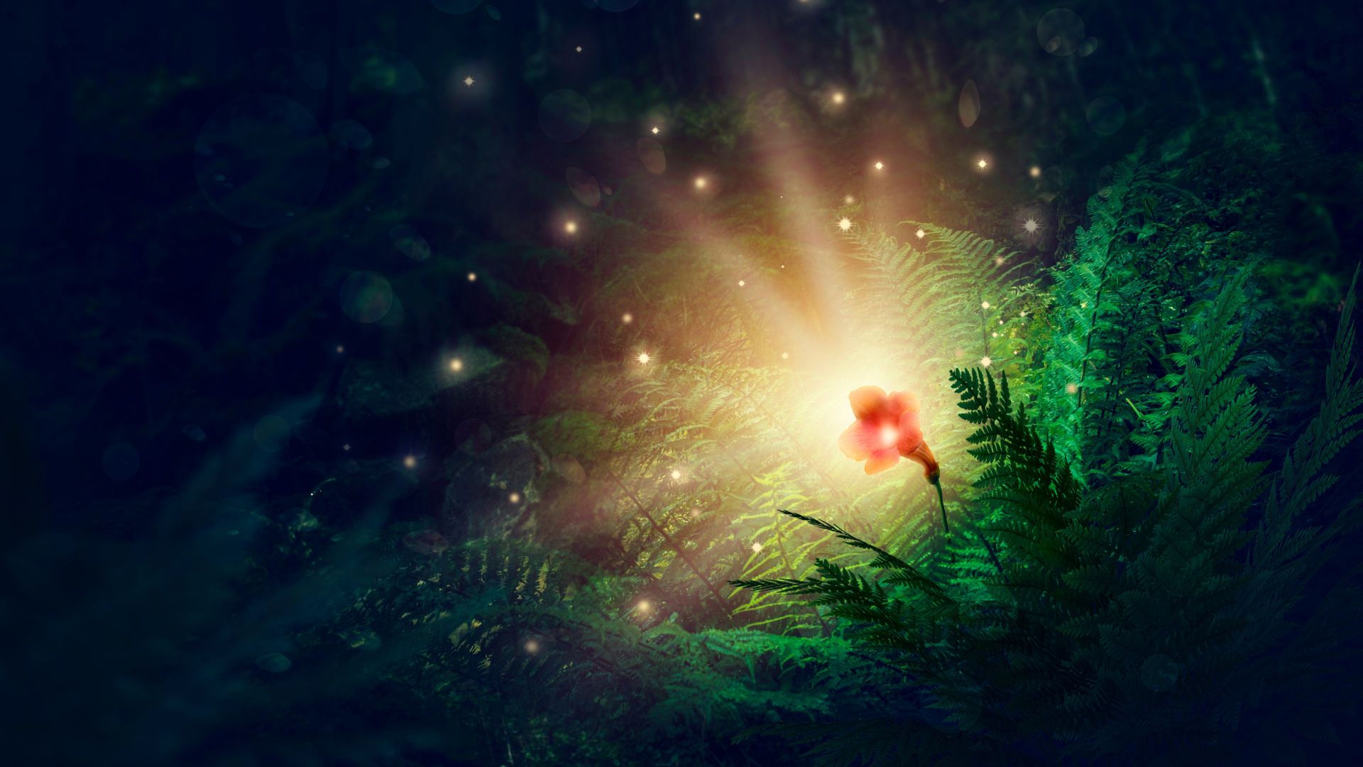 legenda o kwiecie paproci