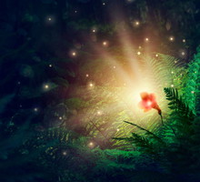 legenda o kwiecie paproci