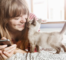 TOP 5 aplikacji dla twojego kota na telefon: najlepsze gry które zainteresują twojego pupila