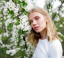 Kalendarz pyleń roślin