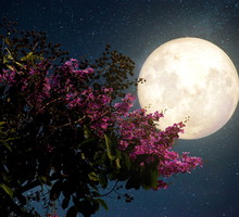 Pełnia księżyca maj 2021