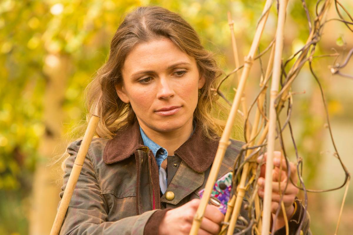 Gdy założyłam ogród różany, dowiedziałam się, że teściowa chce mnie wyplenić z domu jak chwast