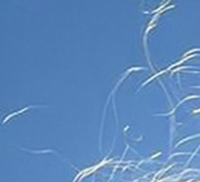 Martyna Wojciechowska