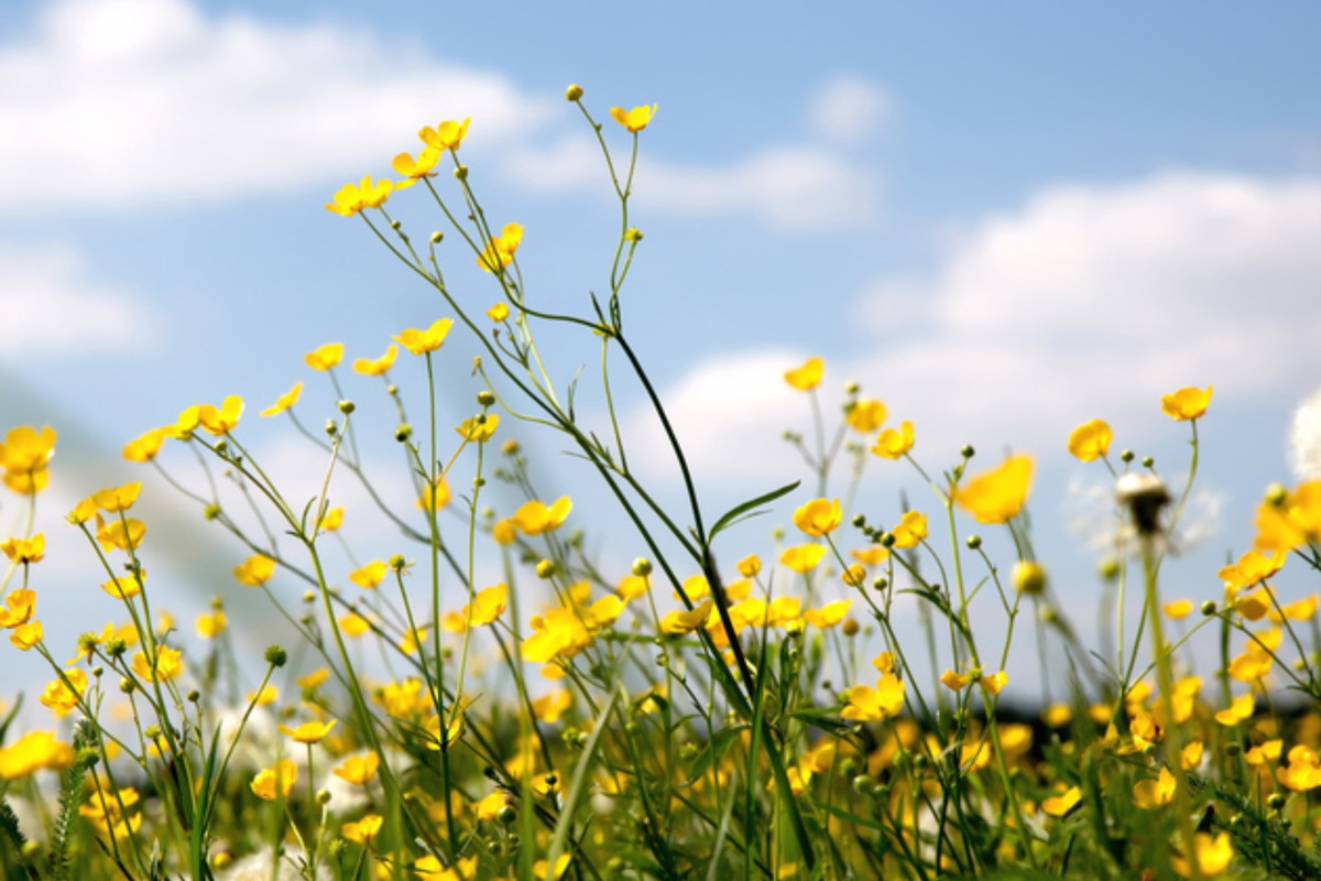 Marki modowe i kosmetyczne, które wspierają Ukrainę