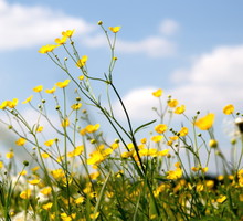 Marki modowe i kosmetyczne, które wspierają Ukrainę