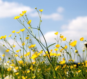 Marki modowe i kosmetyczne, które wspierają Ukrainę