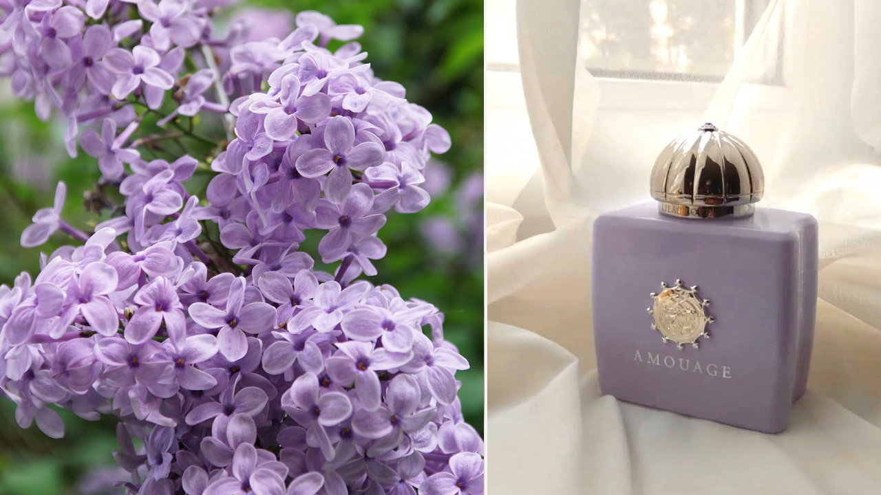 Perfumy o zapachu bzu