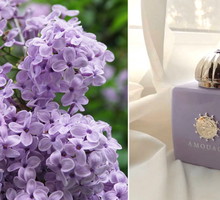 Perfumy o zapachu bzu