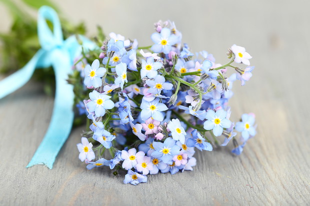 Wiersze na Dzień Matki