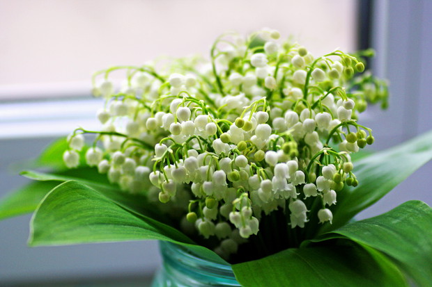 Wiersze na Dzień Matki