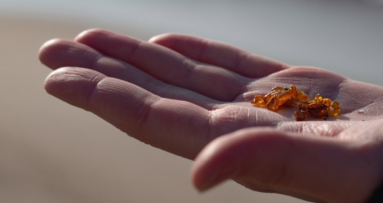 Czym jest kwas bursztynowy i co dobrego może dla nas zrobić?