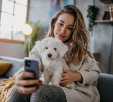 sennik pies: co oznacza sen o psie