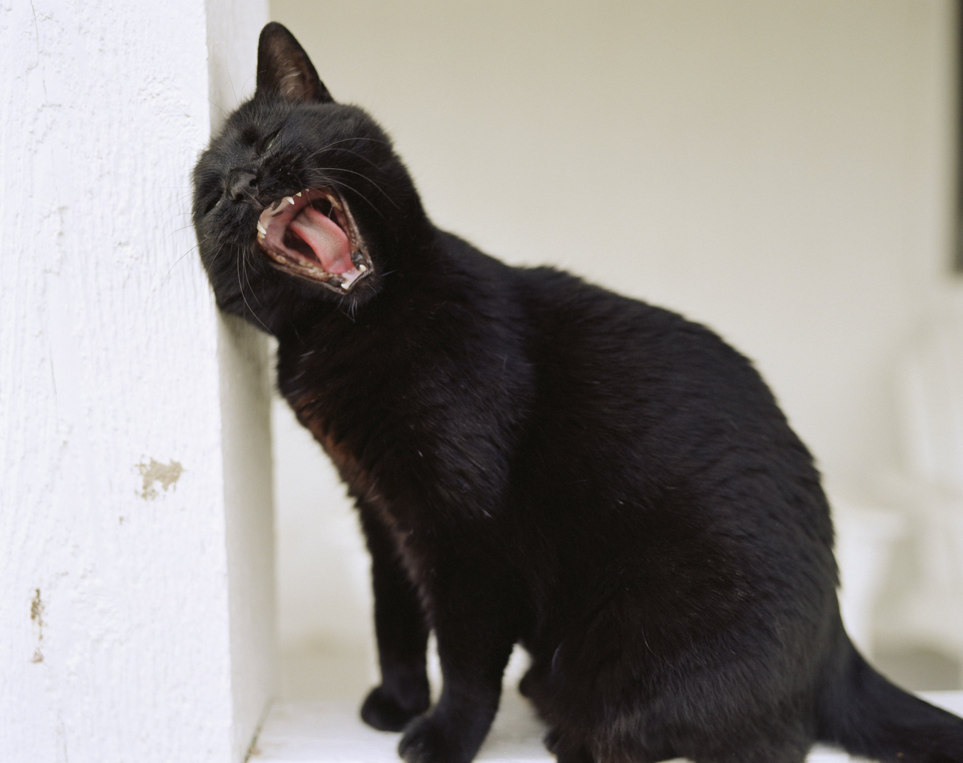 To najbardziej pechowe znaki zodiaku. Czy można oszukać przeznaczenie i odwrócić "klątwę gwiazd"?