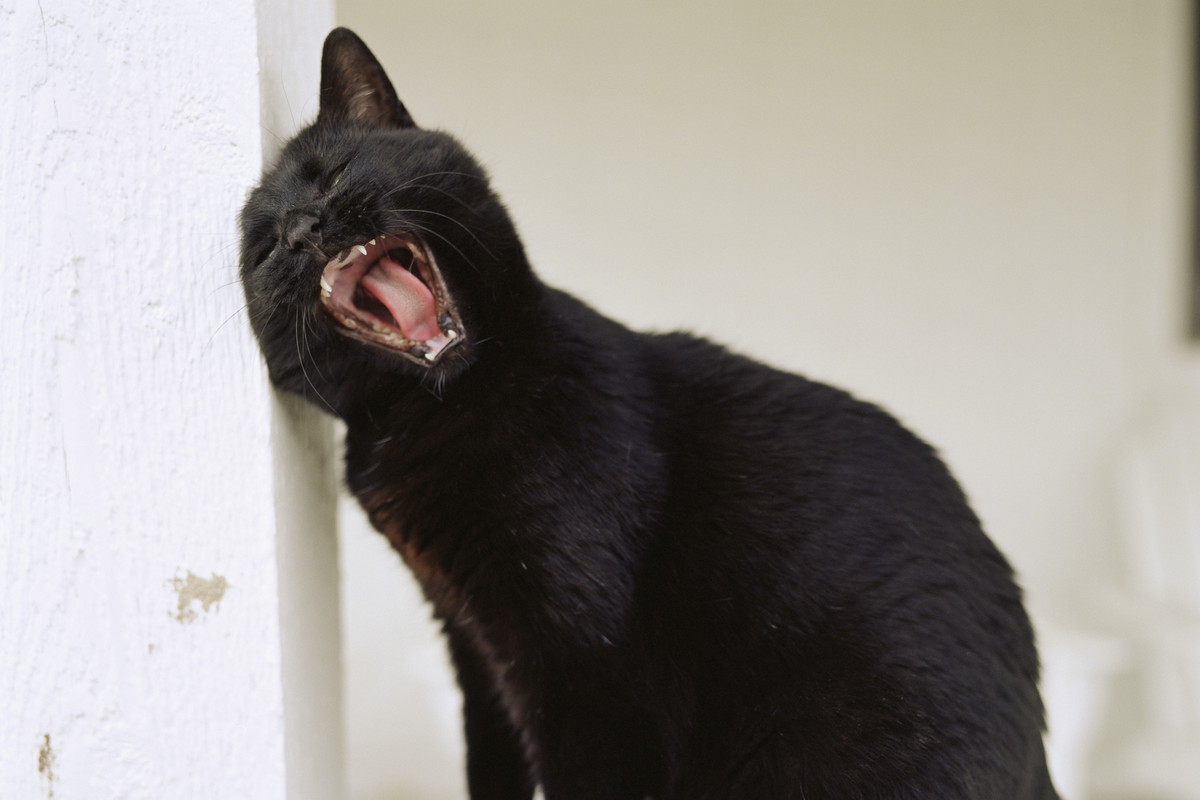 To najbardziej pechowe znaki zodiaku. Czy można oszukać przeznaczenie i odwrócić "klątwę gwiazd"?