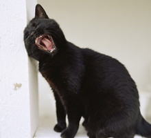 To najbardziej pechowe znaki zodiaku. Czy można oszukać przeznaczenie i odwrócić "klątwę gwiazd"?