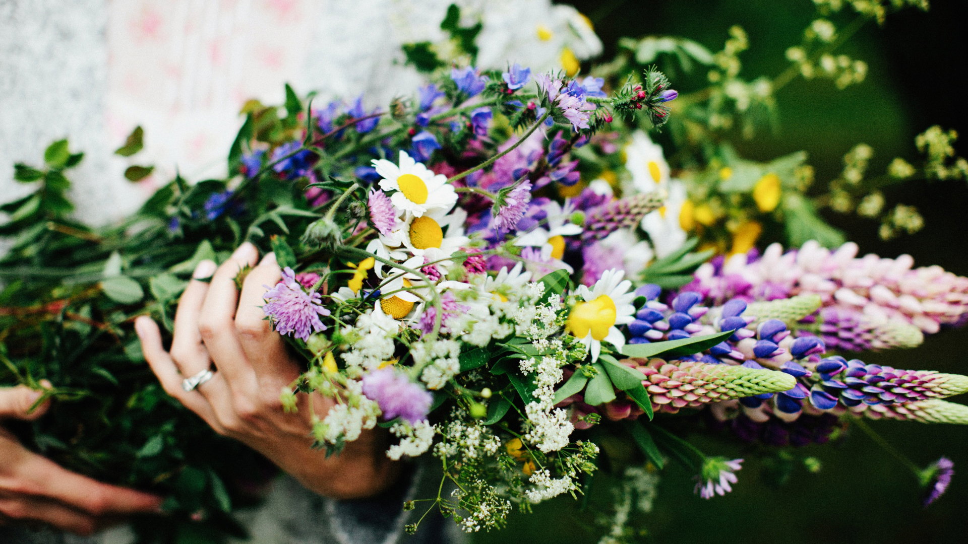 Kwiaty dla znaków zodiaku
