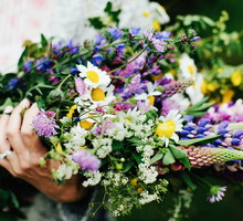 Kwiaty dla znaków zodiaku