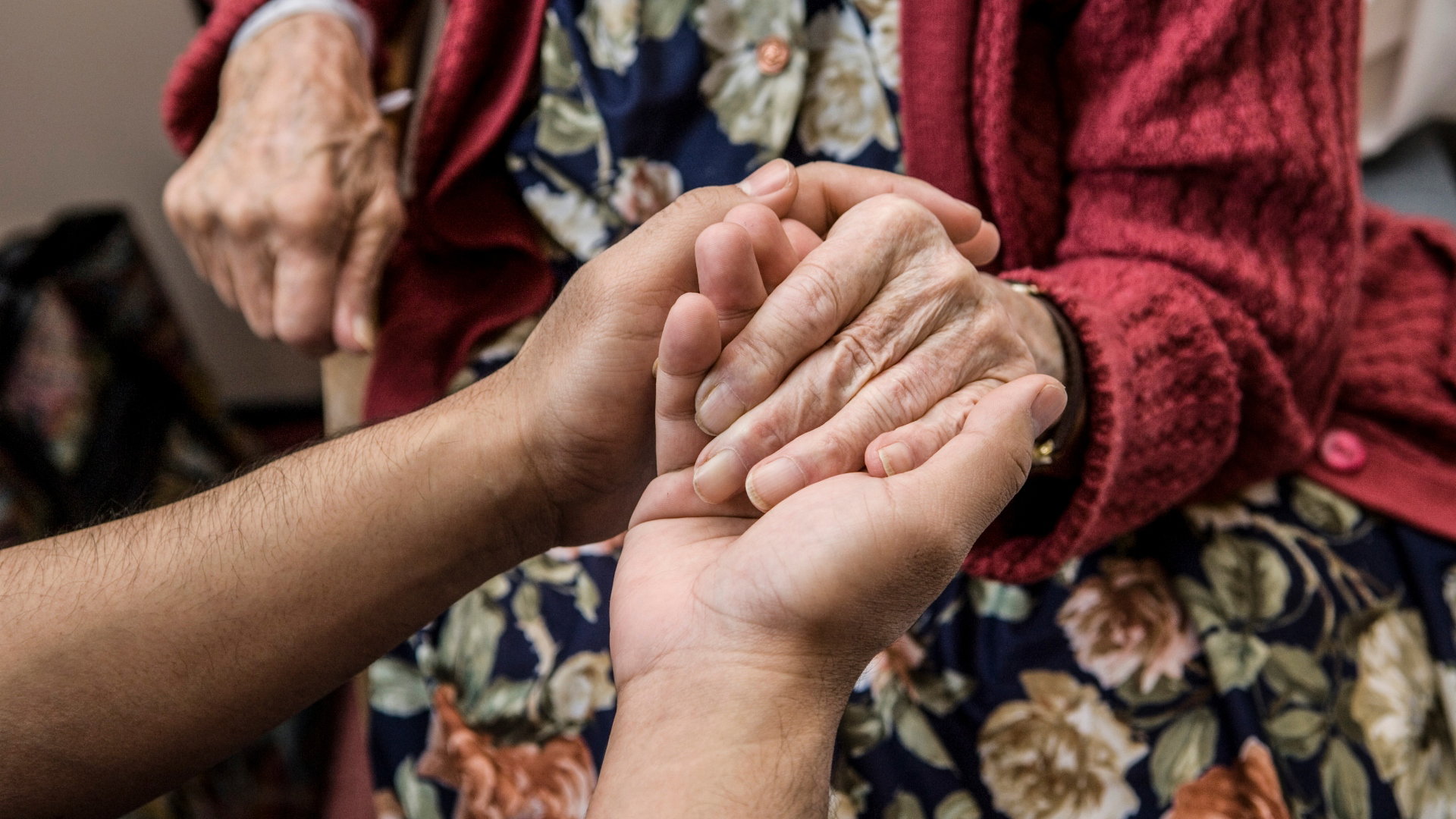 najładniejsze znaki zodiaku