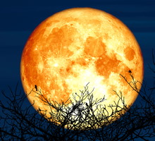 Horoskop na Pełnię Księżyca w Baranie. Jak "Krwawy Księżyc" wpłynie na ciebie?