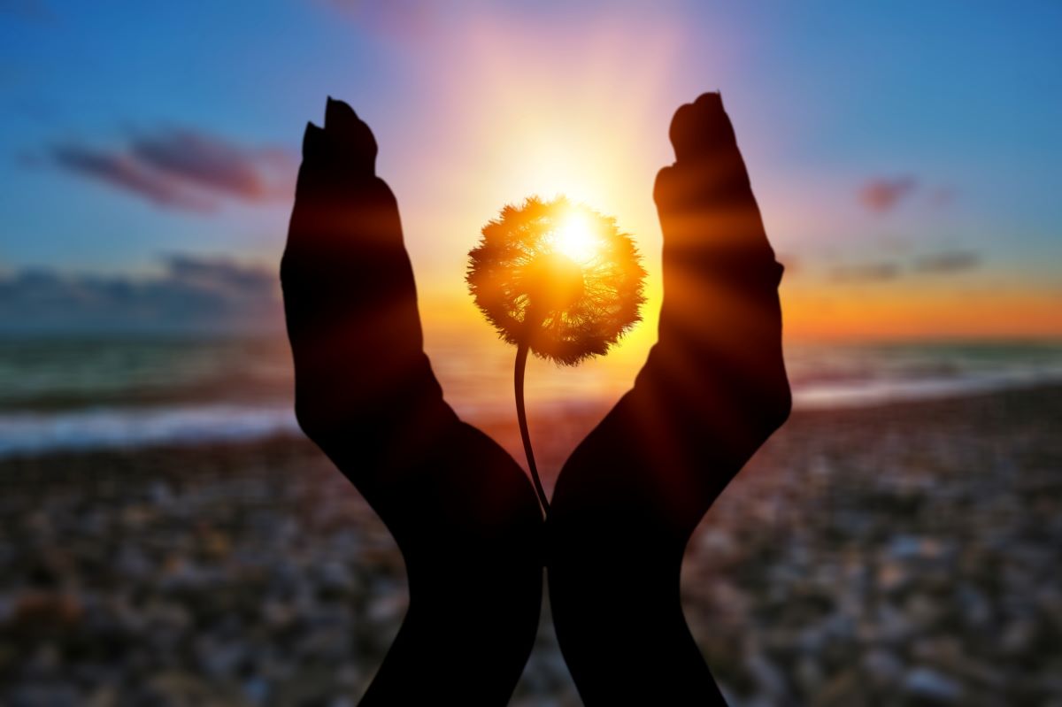 Horoskop tygodniowy finansowy na 24-30 października 2022. Te 3 znaki zodiaku się wzbogacą