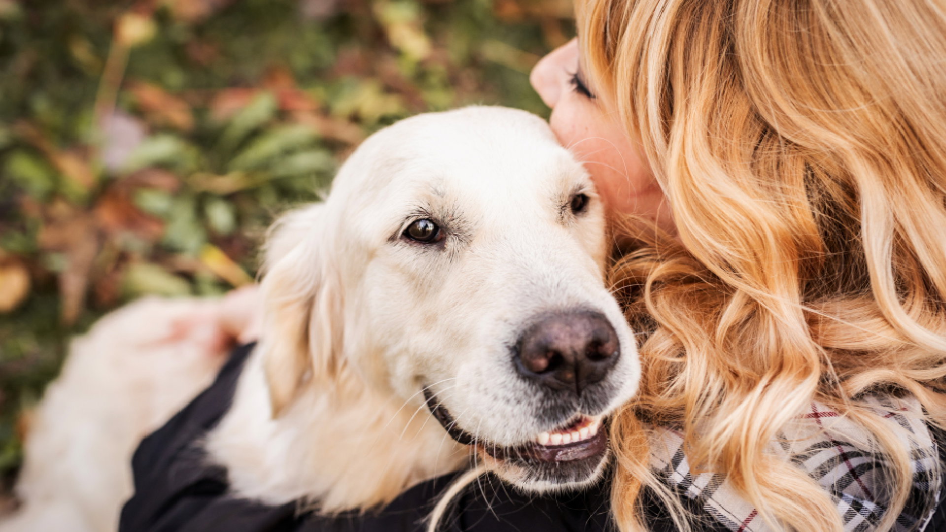 Jakie jest twoje duchowe zwierzę Każdy znak zodiaku ma swoje