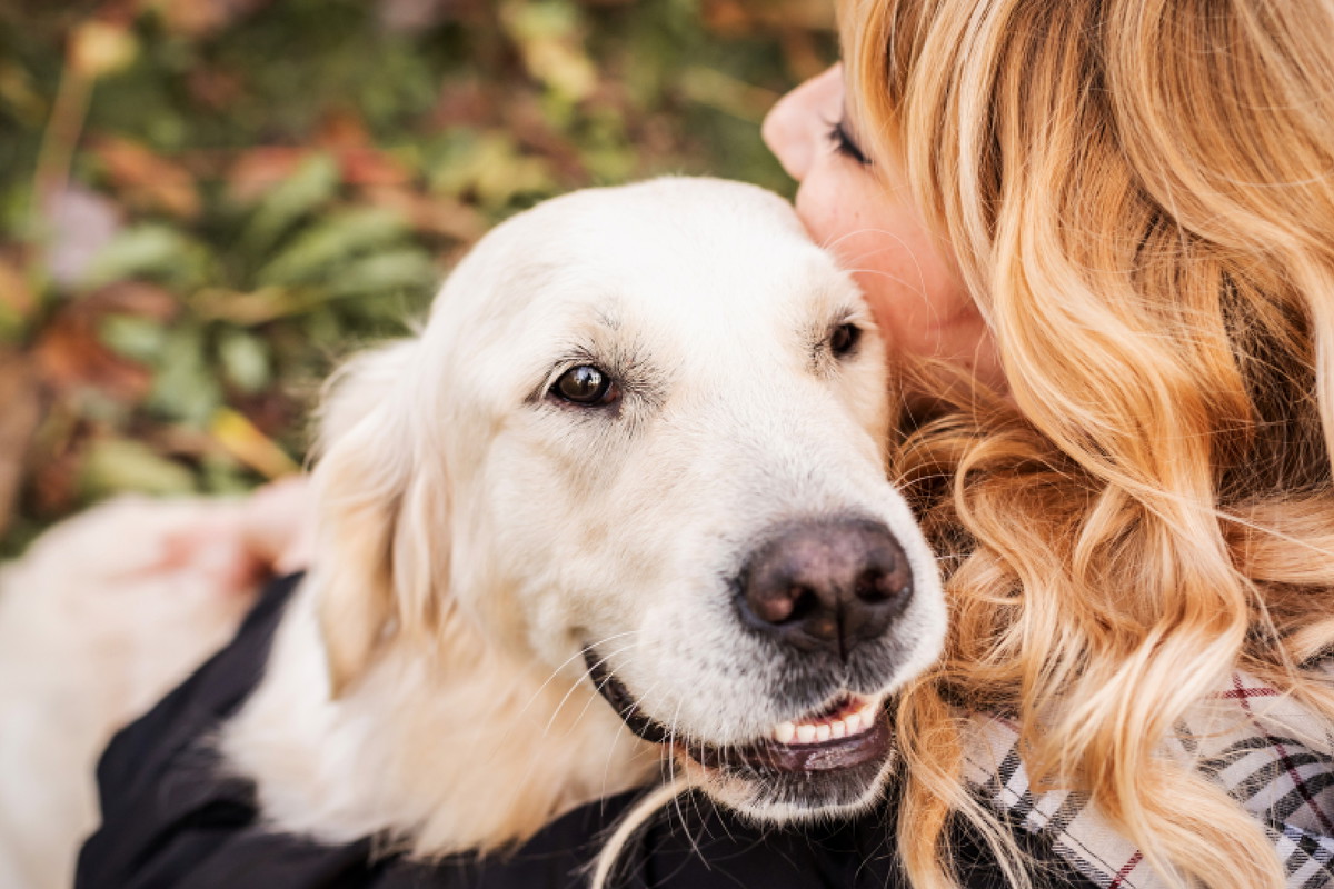 Jakie jest twoje duchowe zwierzę Każdy znak zodiaku ma swoje