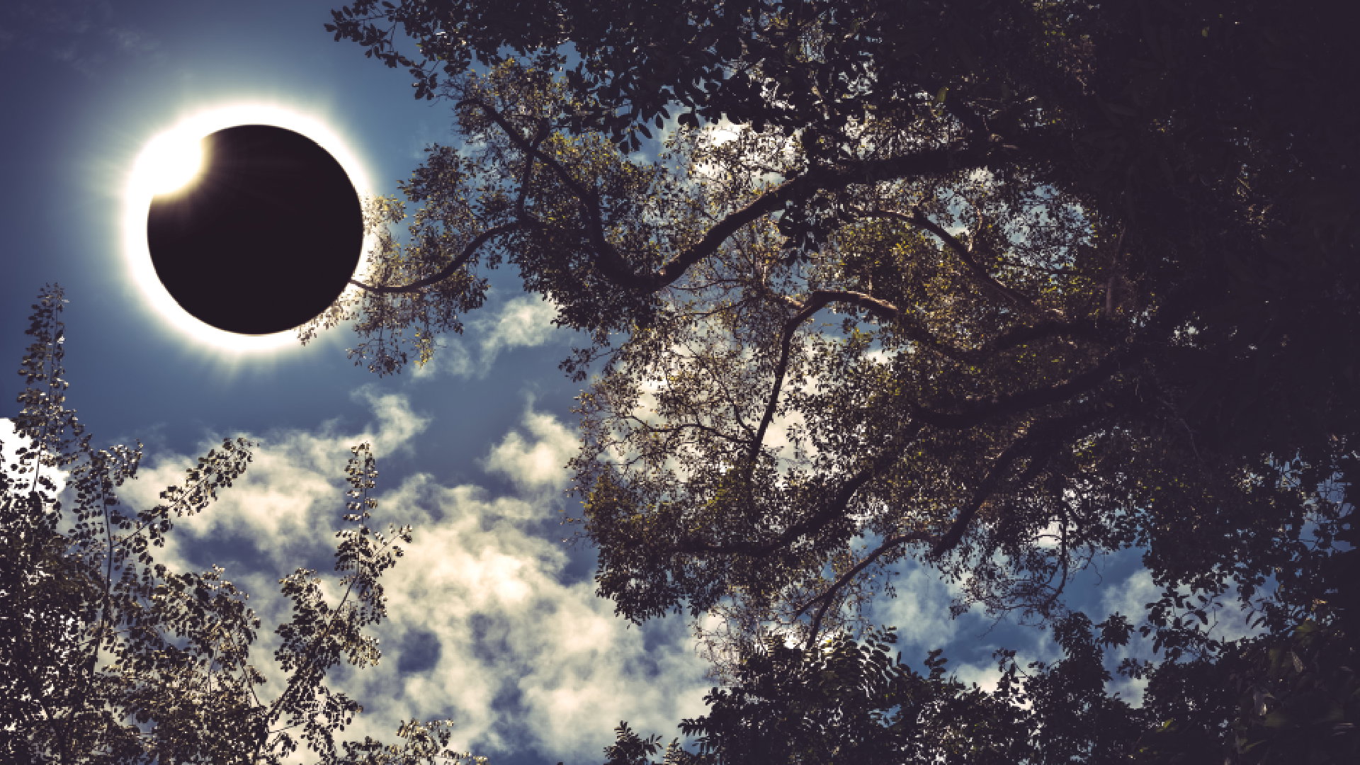 Horoskop na zaćmienie Słońca w Skorpionie 25 października 2022 roku dla wszystkich znaków zodiaku