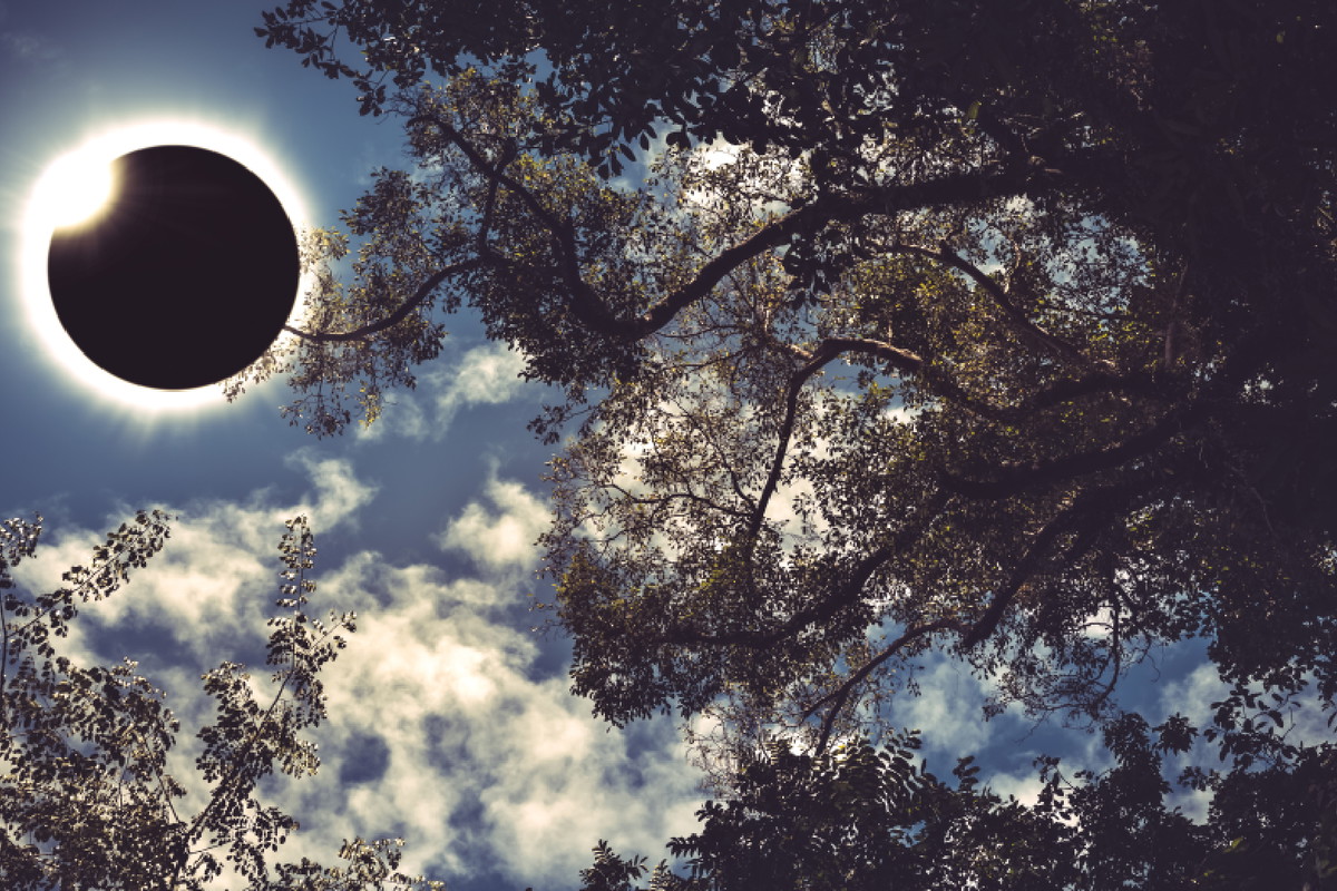 Horoskop na zaćmienie Słońca w Skorpionie 25 października 2022 roku dla wszystkich znaków zodiaku