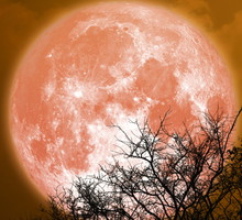 Horoskop na zaćmienie Księżyca w Byku 8 listopada 2022 roku. Co przyniesie nam Krwawy Księżyc