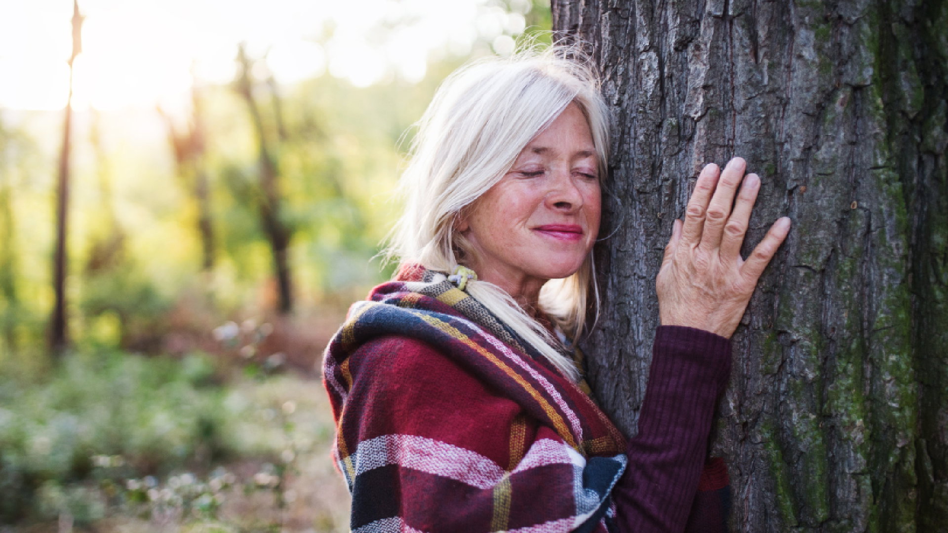 To magiczne drzewo zapewni ci zdrowie i siłę. Nawet nasze babcie wierzyły w jego właściwości