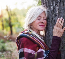 To magiczne drzewo zapewni ci zdrowie i siłę. Nawet nasze babcie wierzyły w jego właściwości