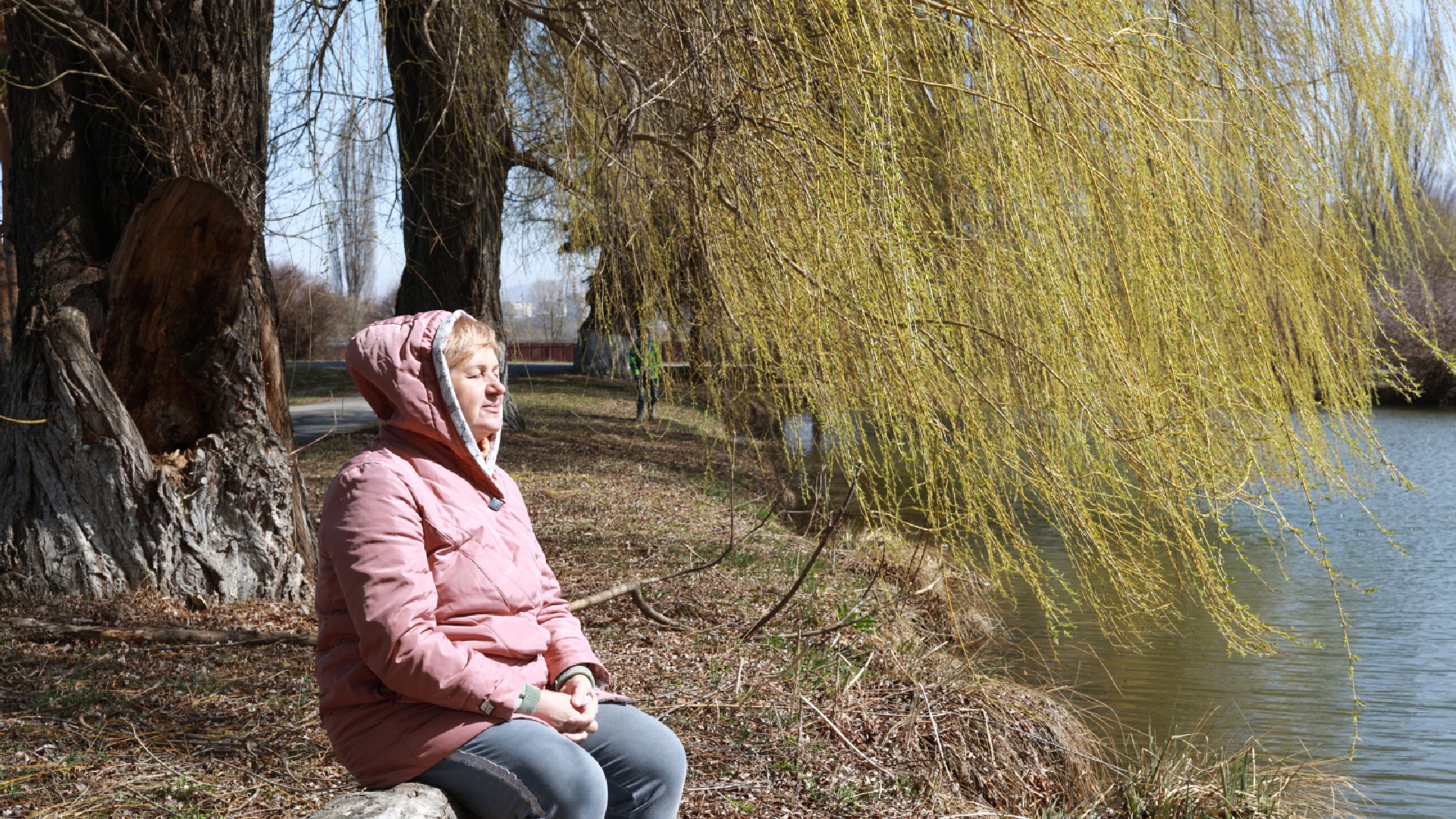 Wierzba płacząca wbrew pozorom przynosi szczęście. To drzewo ma na nas silny wpływ