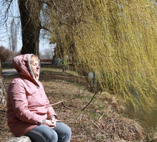 Wierzba płacząca wbrew pozorom przynosi szczęście. To drzewo ma na nas silny wpływ