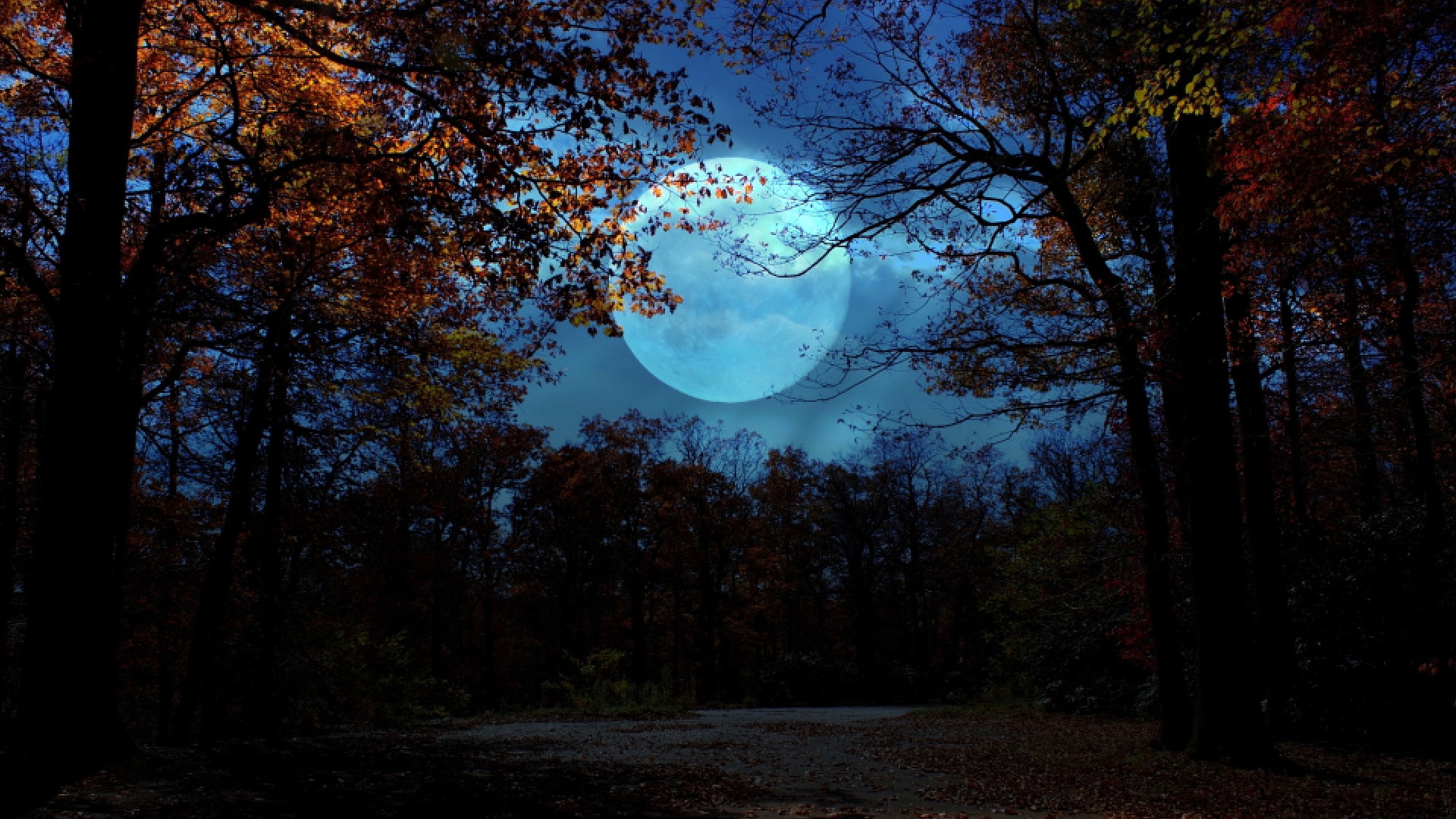 Horoskop na Pełnię Księżyca w Byku 8 listopada 2022 roku. Jak "Mroźny Księżyc" wpłynie na twój znak zodiaku?