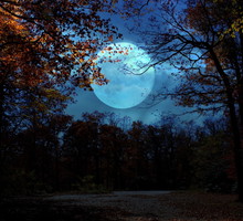 Horoskop na Pełnię Księżyca w Byku 8 listopada 2022 roku. Jak "Mroźny Księżyc" wpłynie na twój znak zodiaku?