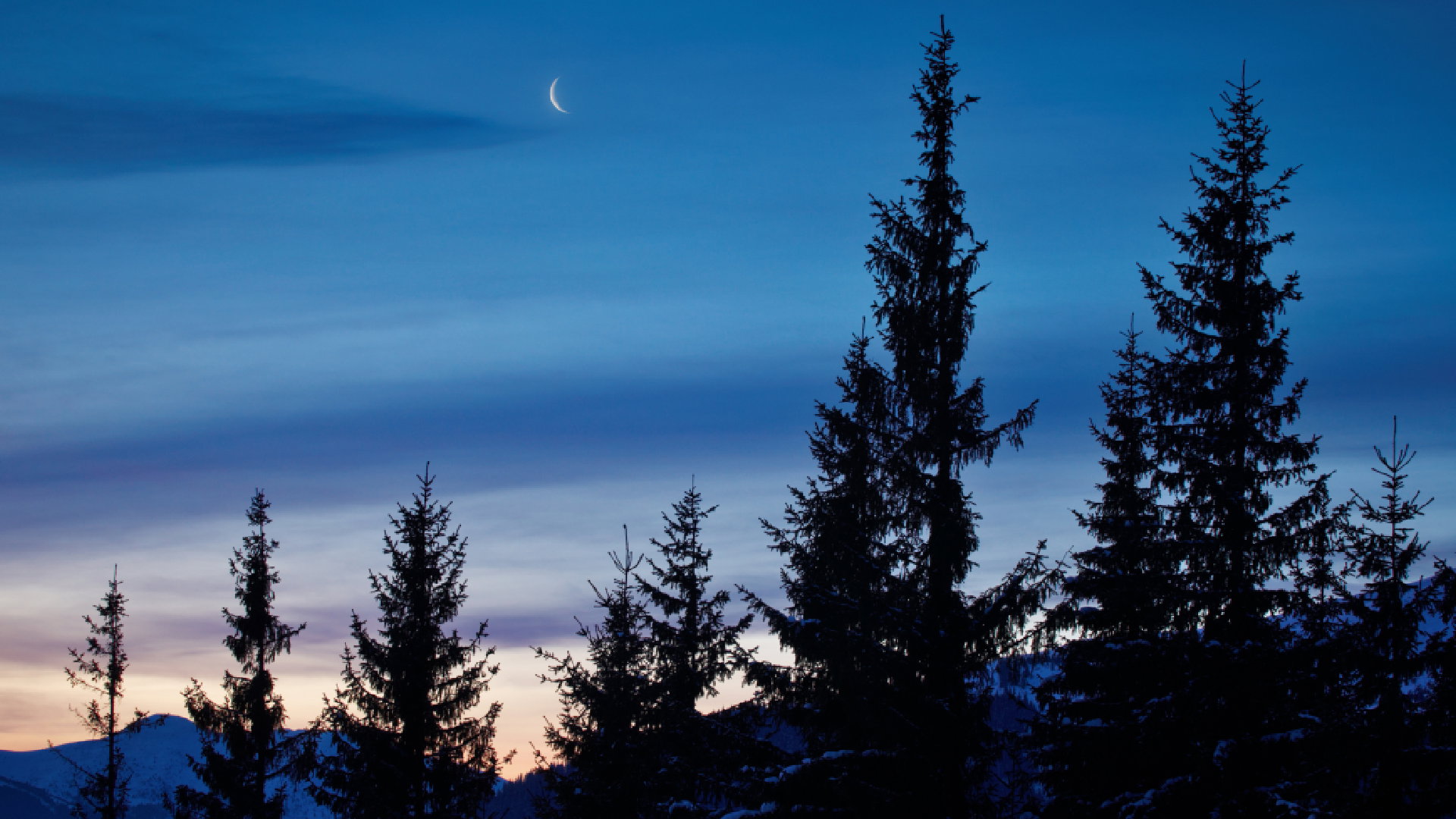 Horoskop na nów Księżyca w Strzelcu 23 listopada 2022 dla wszystkich znaków zodiaku