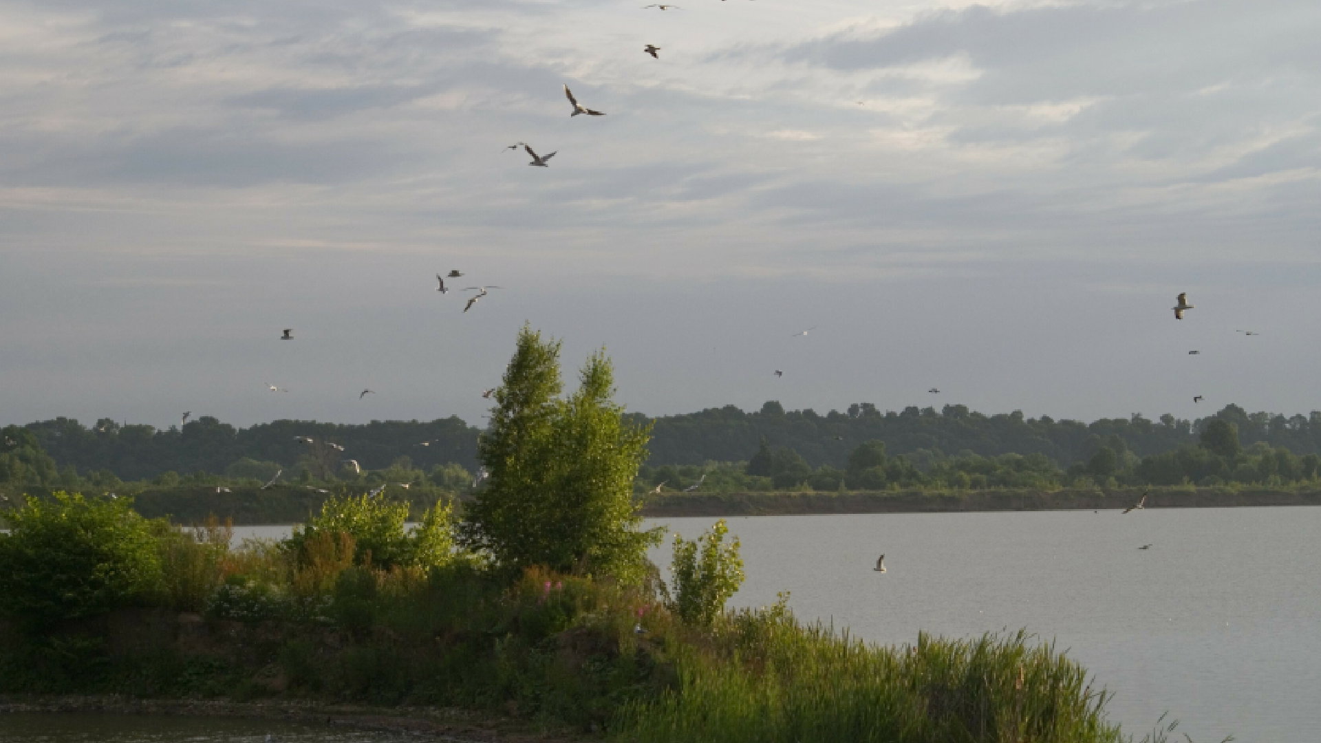 Przepowiednia polskiego Nostradamusa dla Polski na 2023 rok. Jego wizja mrozi krew w żyłach