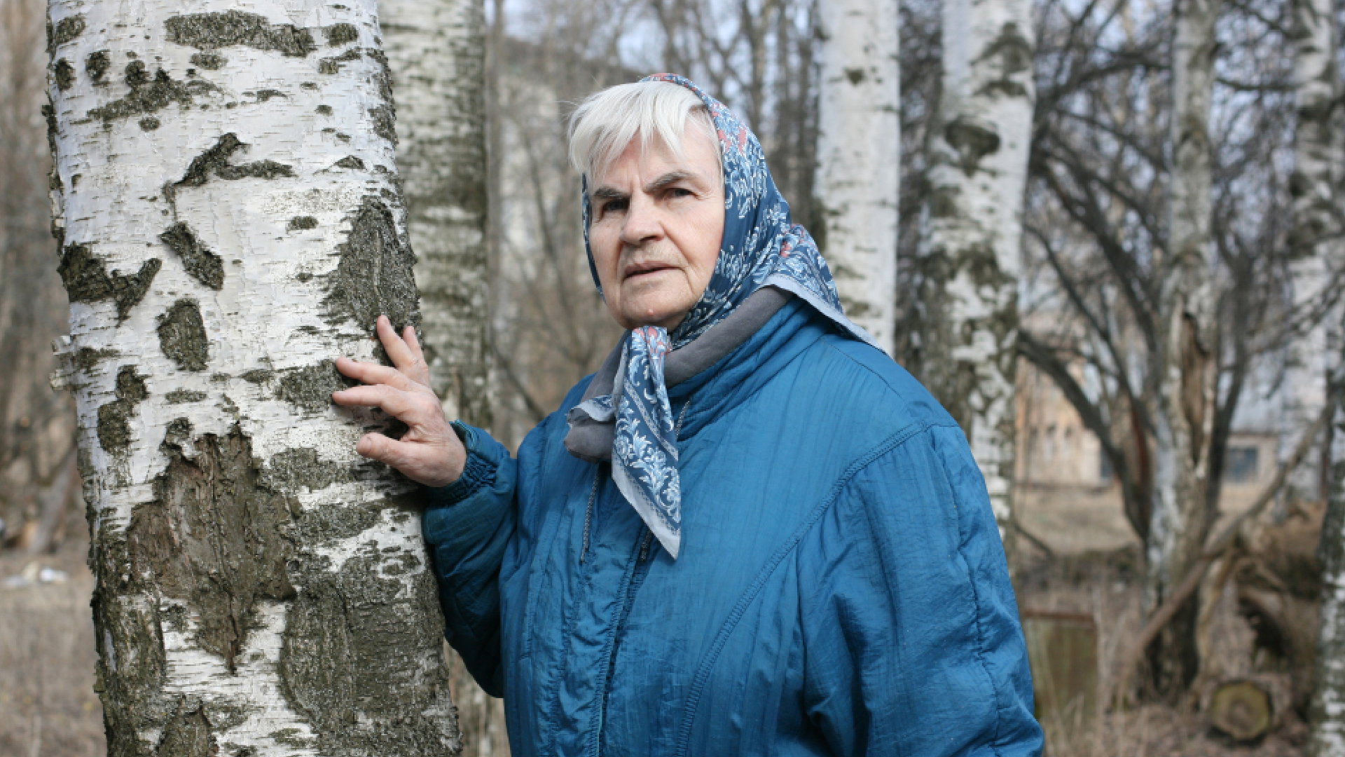 Brzoza ma magiczne właściwości. Chroni przed złymi mocami i ma wpływ na dzieci
